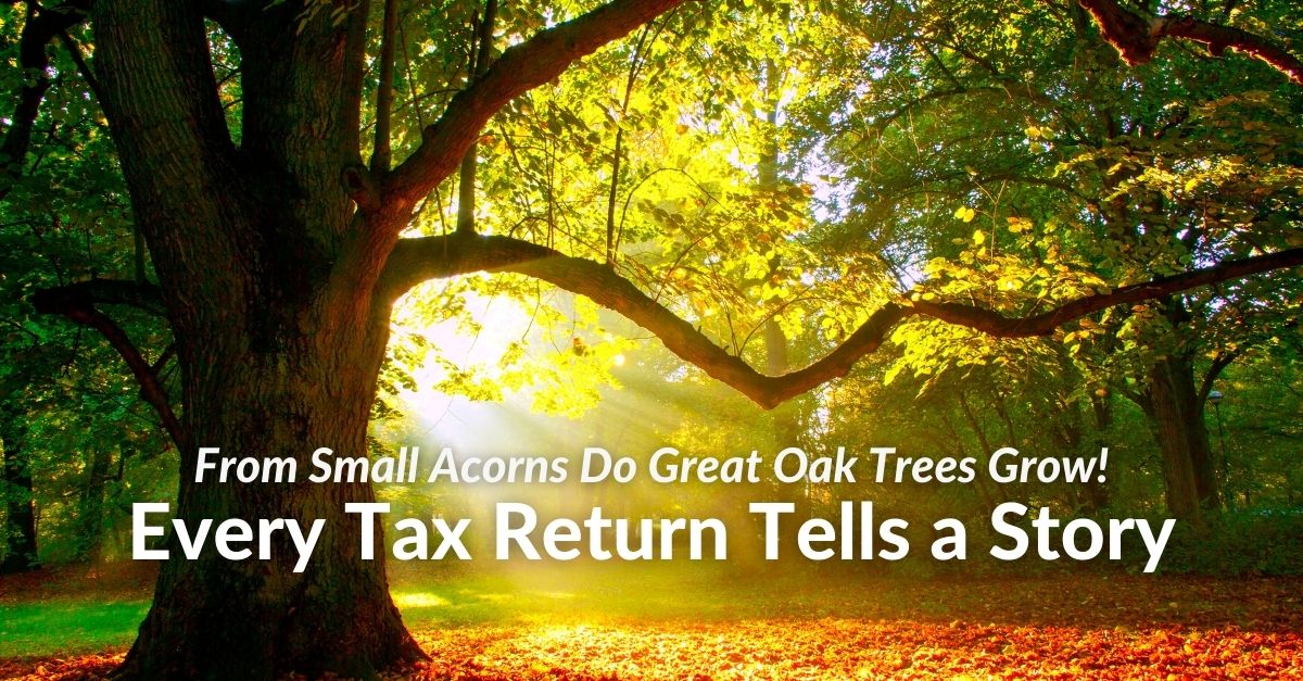 From Small Acorns Do Great Oak Trees Grow!